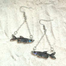 Load image into Gallery viewer, Earrings - Zebra Danio - Premium Acrylic Variables with Black Paint
